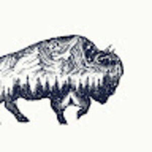 Meet your Posher, Native